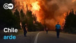 Incendios forestales en Chile dejan al menos 16 muertos y decenas de heridos