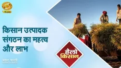 Hello Kisan | हैलो किसान: किसान उत्पादक संगठन का महत्व और लाभ | DD Kisan | 06/04/2026 Hello Kisan | हैलो किसान: किसान उत्पादक संगठन का महत्व और लाभ | DD Kisan | 06/04/2026