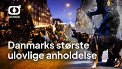 Hvorfor blev fredelige demonstranter anholdt?