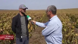 Quality begins with seed production lots 10/19/2026