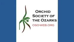 The Orchid Society of the Ozarks hosting its 15th annual Orchid Show