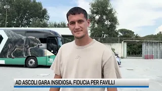 Testa all'Ascoli. Speranza Favilli, out Cancellotti. Le ultime sui lupi