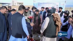 В Балхе строится завод по производству цыплят.