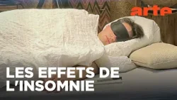 Insomnie : qu’est-ce qui perturbe notre sommeil ? | Twist | ARTE