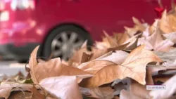 Fortes ventades a Terrassa