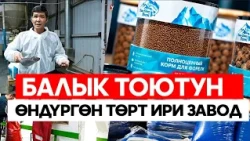 Өрүш алган балык өндүрүшү. Жоюлган импорттук муктаждык/// АТАЙЫН ЧЫГАРЫЛЫШ