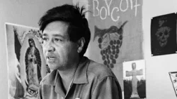 Обвинения против Сезара Чавеса | В программе "To The Point with Alex Bell"