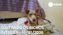 Soltando os Bichos - 18/01/2026