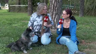 Pet Adoption: For All Furry Friends from 09/11/2026