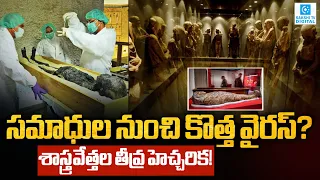 Mummy Curse EXPOSED? Deadly Fungus Found on Ancient Mummies | Could It Trigger a New Pandemic?