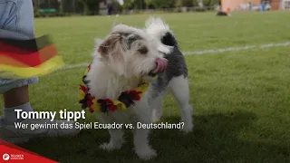 Tommy's prediction: Who will win the match Ecuador vs. Germany?