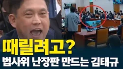 Kim Tae-gyu: "If it weren't for the law, you all!" Judiciary Committee in chaos
