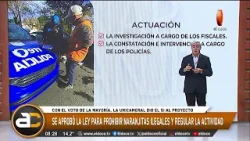 PROHIBICIÓN DE NARANJITAS ILEGALES EN CÓRDOBA: LOS PUNTOS CLAVES PROHIBICIÓN DE NARANJITAS ILEGALES EN CÓRDOBA: LOS PUNTOS CLAVES