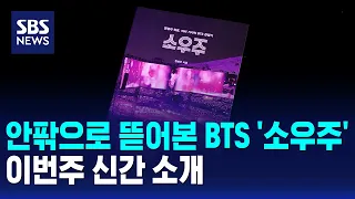 안팎으로 뜯어본 BTS '소우주' / 문화현장 / SBS 12시뉴스