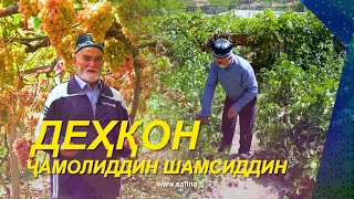 Farmer - Jamoliddin Shamsiddin I Mehgon Celebration