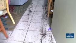 «Отвратительно»: дом в Кайлуа затоплен и покрыт сточными водами после шторма и прорыва водостока.