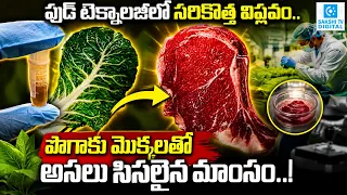 London College Chicken Protein Plant | Chicken Protein Made From Plants? | Sakshi Tv Digital