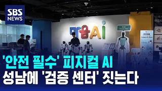 'Safety-First' Physical AI... 'Testing Center' to be Built in Seongnam / SBS 12 News