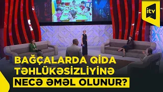 Sabaha saxlamayaq | Özəl bağçalarda uşaqlar nə yeyir?