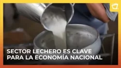 Producción lechera inicia el año con casi 30 millones de galones