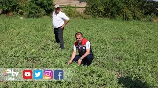 FIELD VISIT TO WATERMELON PRODUCER UNDER THE TAKE PROJECT