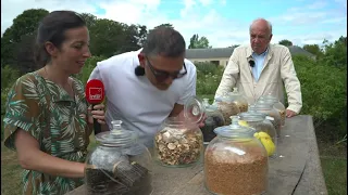 A Fragrant Stroll through the Perfumer’s Garden at Versailles - The Summer Magazine