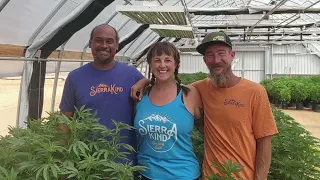 GTKY - Cannabis Alliance  2026