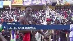Sénégal - Lutte anti-dopage : le lutteur “Siteu” acquitté par le TAS