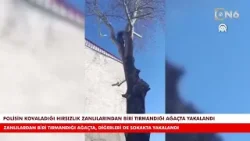 Polisin kovaladığı hırsızlık zanlılarından biri tırmandığı ağaçta yakalandı