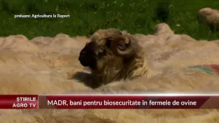MADR, funding for biosecurity in sheep farms 09/17/2026