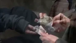 Cocaina e contanti a palate nel maxi deposito Procura chiede il giudizio Cocaina e contanti a palate nel maxi deposito Procura chiede il giudizio