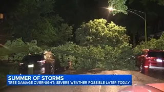 Another cleanup underway across Chicago amid a summer of storms