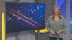 Man dies days after I-69 crash