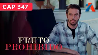 FORBIDDEN FRUIT - Preview Wednesday 09/30/2026