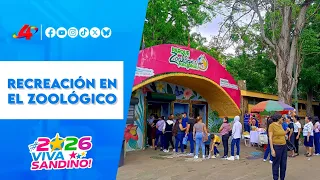 🦁 Parque Zoológico Nacional: espacio clave para la educación ambiental en Nicaragua