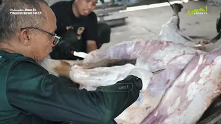 PELAPORAN IDUL QURBAN 1447  H