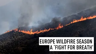 The hidden physical cost  of wildfires