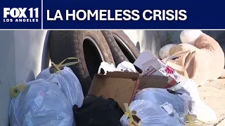 North Hollywood residents demand action over encampment