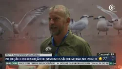 Proteção e recuperação de nascentes são debatidas na COP15