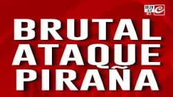Brutal robo piraña: cinco delincuentes lo atacaron en grupo y lo dejaron sin nada Brutal robo piraña: cinco delincuentes lo atacaron en grupo y lo dejaron sin nada