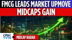 Sensex Gains 620 Points, Nifty Above 22,800; PSU Banks, FMCG Shine; Midcaps Advance