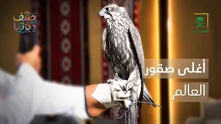صيف ديرتنا | جولة داخل المزاد الدولي للصقور