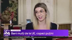 Motivele pentru care România nu a fost interesată să împădurească gratuit, cu bani de la UE