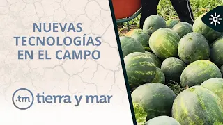 Land and Sea | Almería's Fruit and Vegetable Leadership and New Technologies in the Field