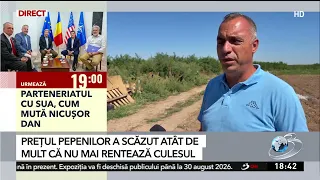 The Sahara of Oltenia: Melons and vegetables abandoned in the fields. No customers