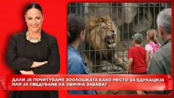 Зоолошката градина во Скопје, дали ја доживуваме како место за учење или само како обична забава?