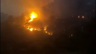 TEPELENË! Vatra e zjarrit merr përmasa të mëdha, dhjetëra hektarë pyje janë shkrumbuar nga flakët