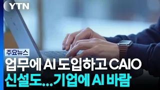 AI Adopted in the Workplace and New CAIO Roles... The AI Wave Hits Businesses / YTN