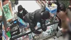 Thieves wanted for Manhattan smoke shop robberies: NYPD
