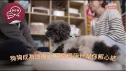 #尾巴會說話 ｜ 狗狗成為治療犬,用愛與陪伴幫你解心結